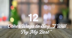 12 Other Ways to Say “I Will Try My Best”